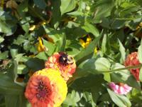 View photo in a new window