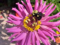 View photo in a new window