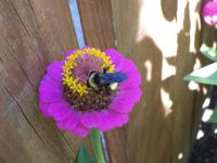 View photo in a new window