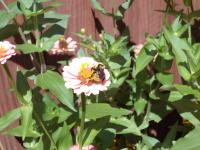 View photo in a new window