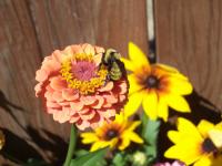 View photo in a new window