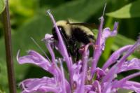 View photo in a new window