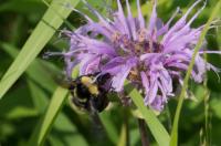 View photo in a new window