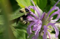 View photo in a new window