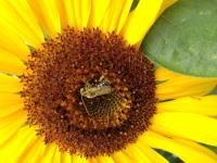 View photo in a new window