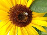 View photo in a new window