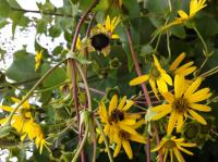 View photo in a new window