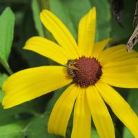 View photo in a new window