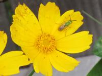 View photo in a new window