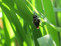 View photo in a new window