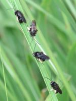 View photo in a new window