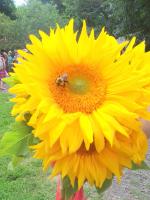 View photo in a new window