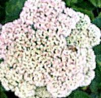 View photo in a new window