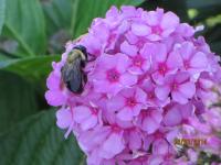 View photo in a new window