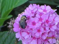 View photo in a new window