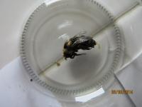 View photo in a new window