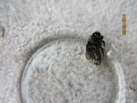 View photo in a new window