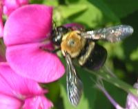 View photo in a new window