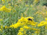 View photo in a new window