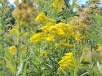 View photo in a new window