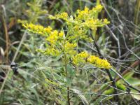 View photo in a new window