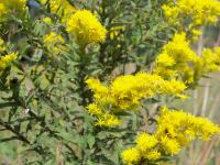 View photo in a new window