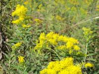 View photo in a new window