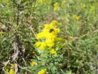 View photo in a new window