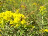 View photo in a new window