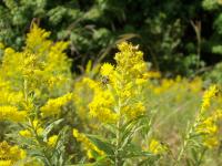 View photo in a new window