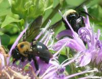 View photo in a new window