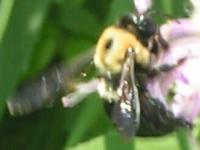 View photo in a new window