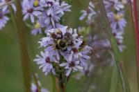 View photo in a new window