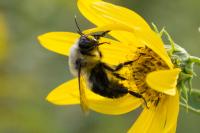 View photo in a new window