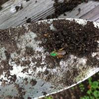 View photo in a new window