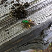 View photo in a new window