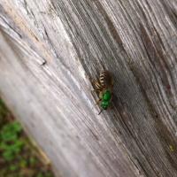 View photo in a new window