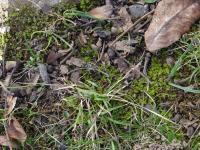 View photo in a new window