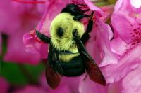 View photo in a new window