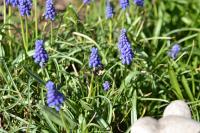 View photo in a new window