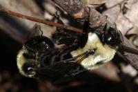 View photo in a new window