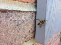 View photo in a new window