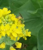 View photo in a new window