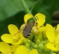 View photo in a new window