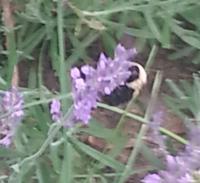 View photo in a new window