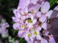 View photo in a new window