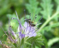 View photo in a new window