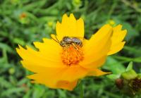 View photo in a new window