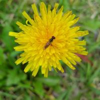 View photo in a new window