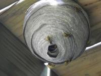 View photo in a new window